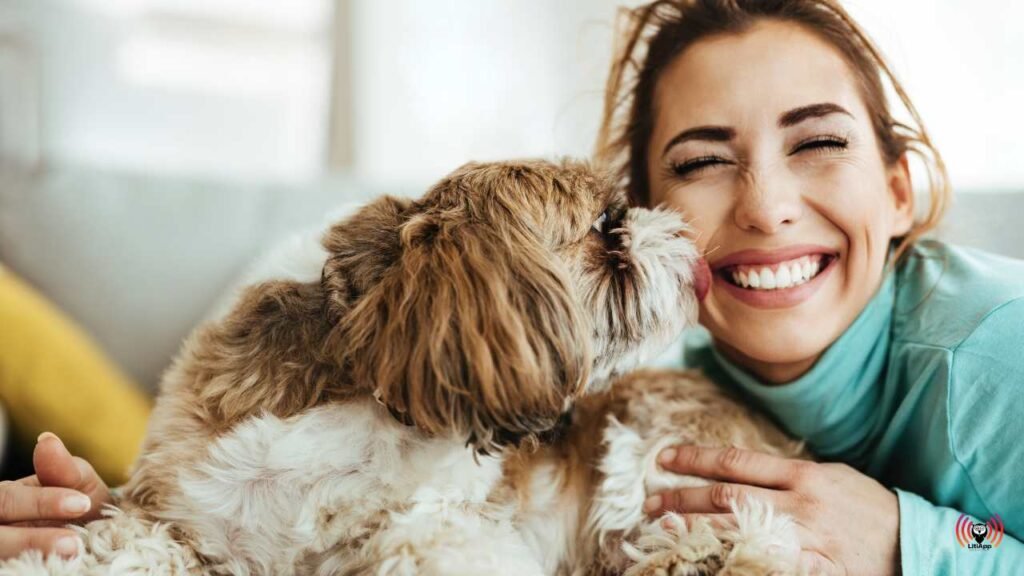 Los perros levantan el ánimo nueve veces al día según estudio