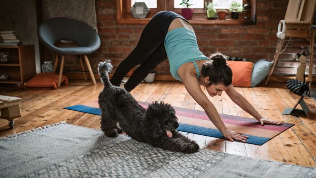 El Poder de los Perros: Cómo Tu Mascota Puede Llevarte a un Estado de Calma y Bienestar